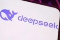 2025年，网站站长在创业方向，deepseek给了答案，别再到处问了